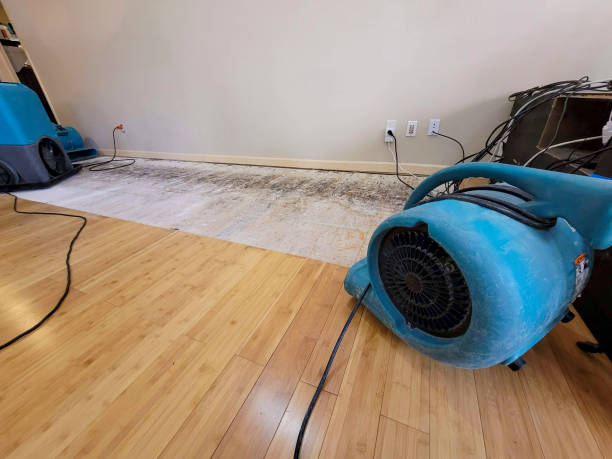 Professional Water Damage Repair technician working in New Market, TN